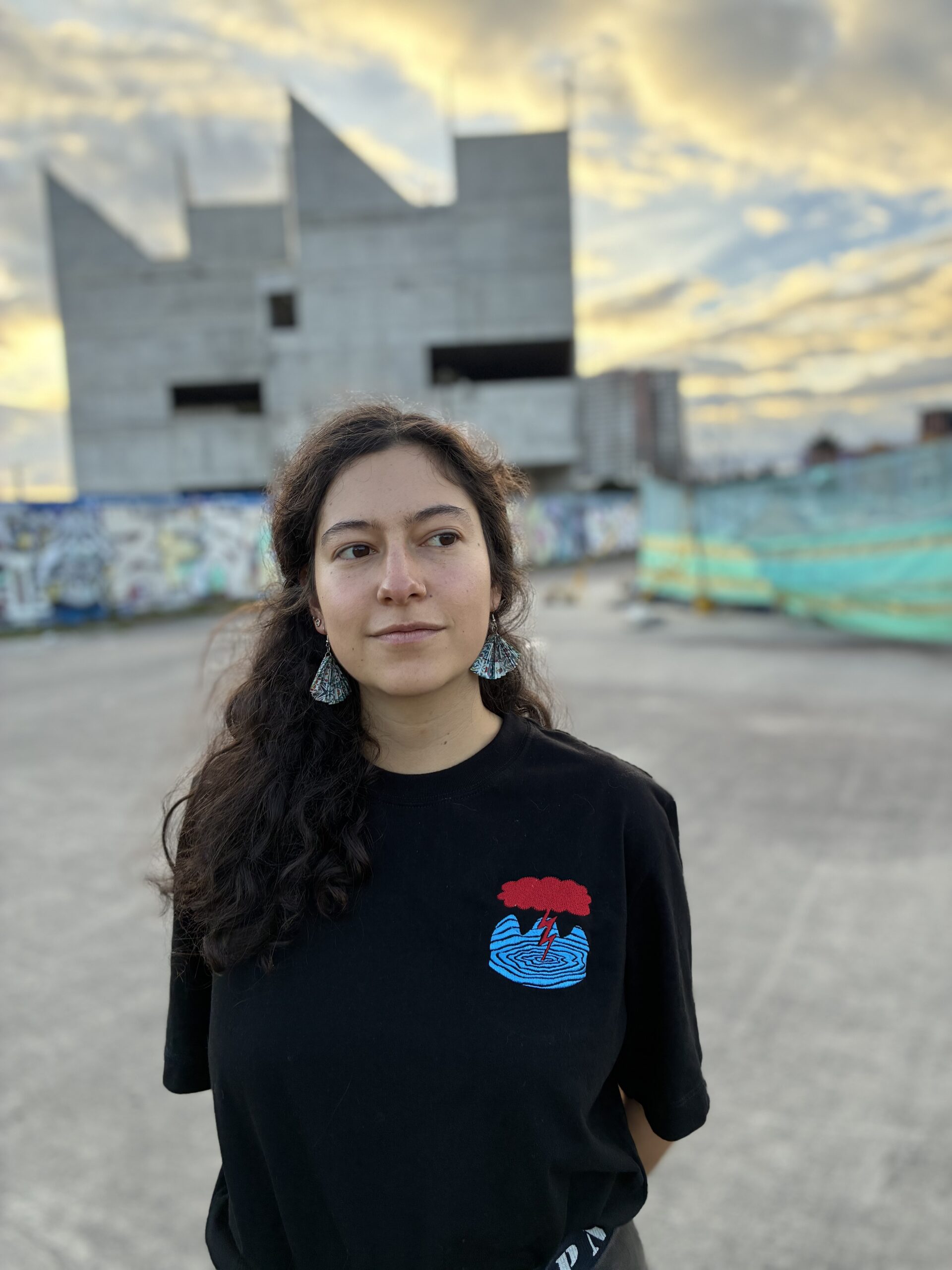 Camiseta bordada logo